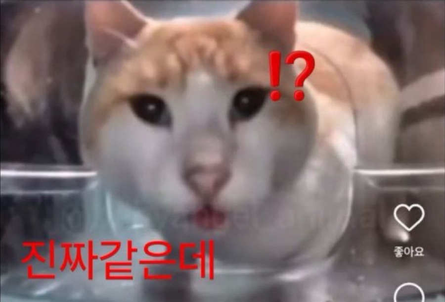 민들레다방 이미지