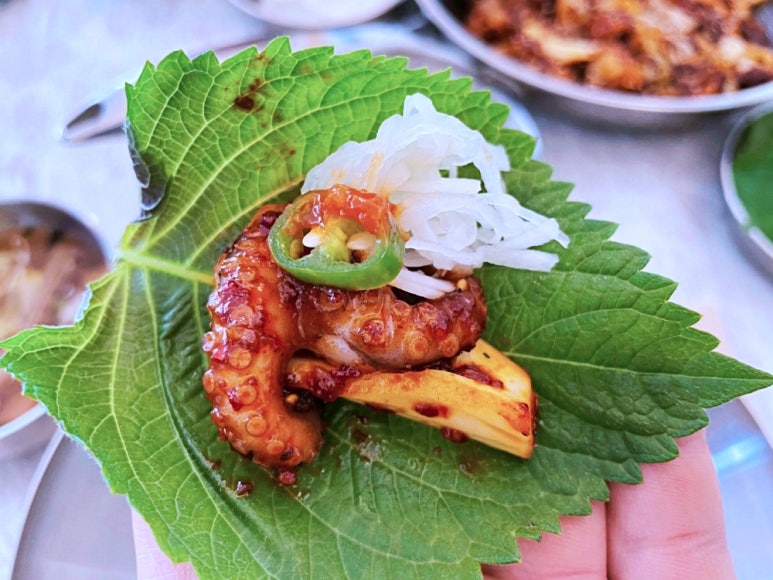 아리찬쭈꾸미 이미지