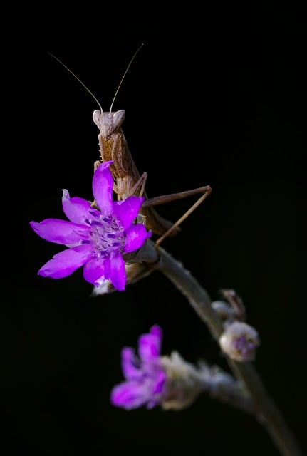 신길지오마트 이미지