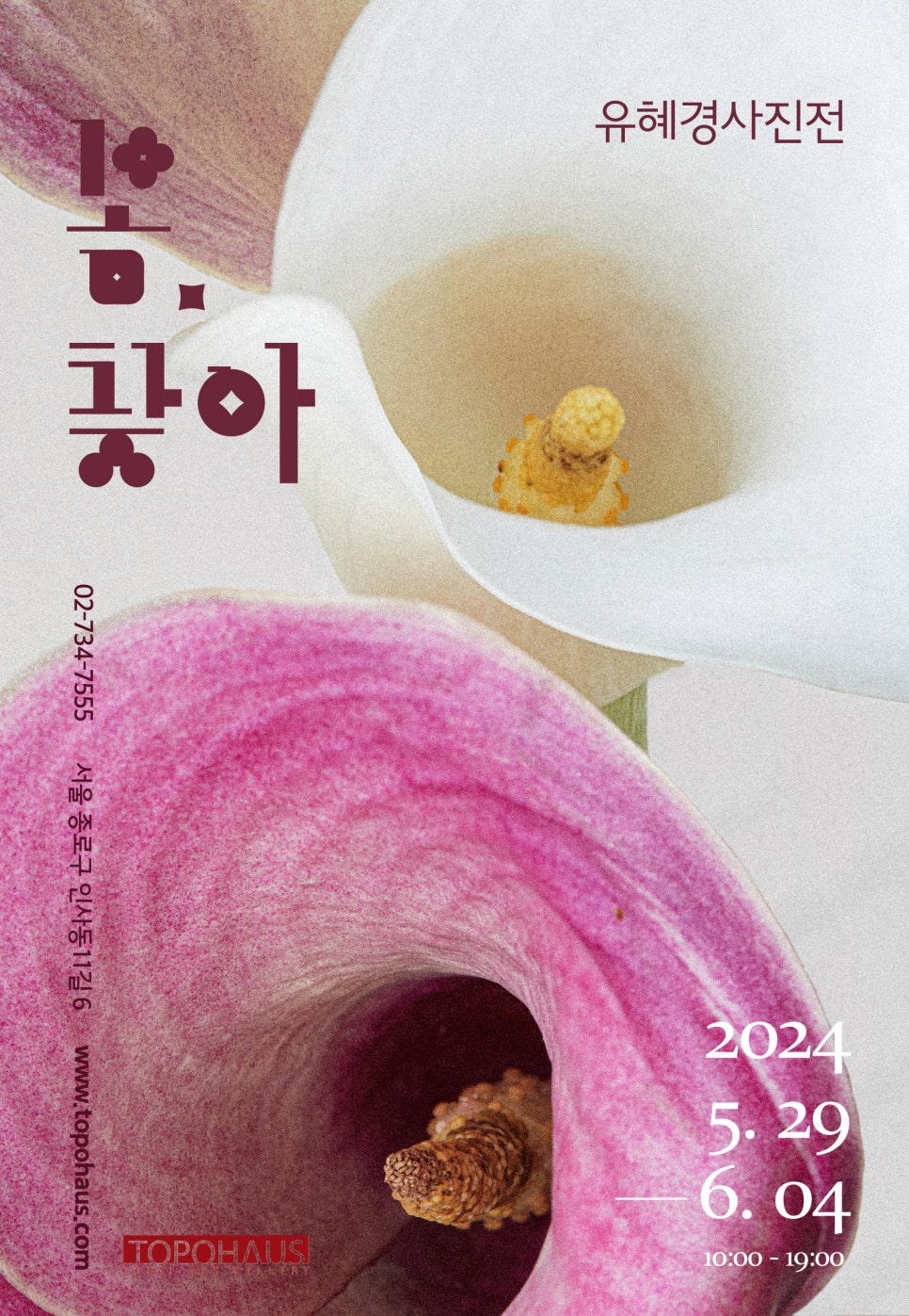 문화주 이미지