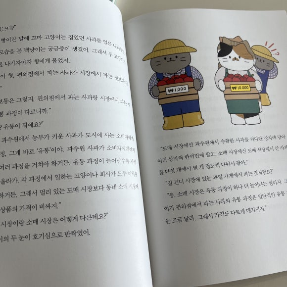 다일린 이미지