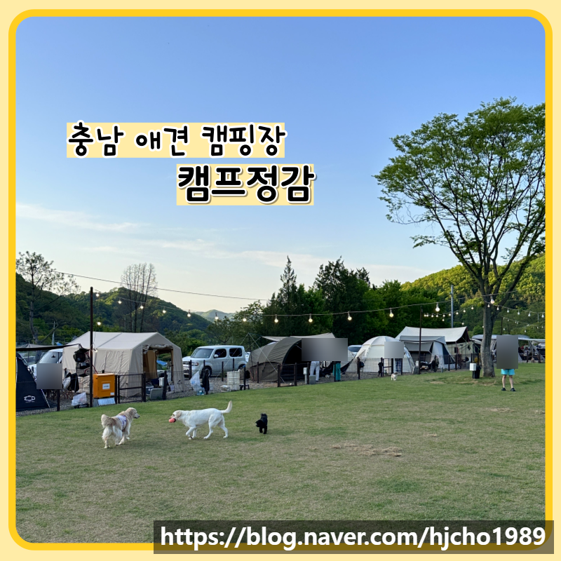 캠프정감 이미지