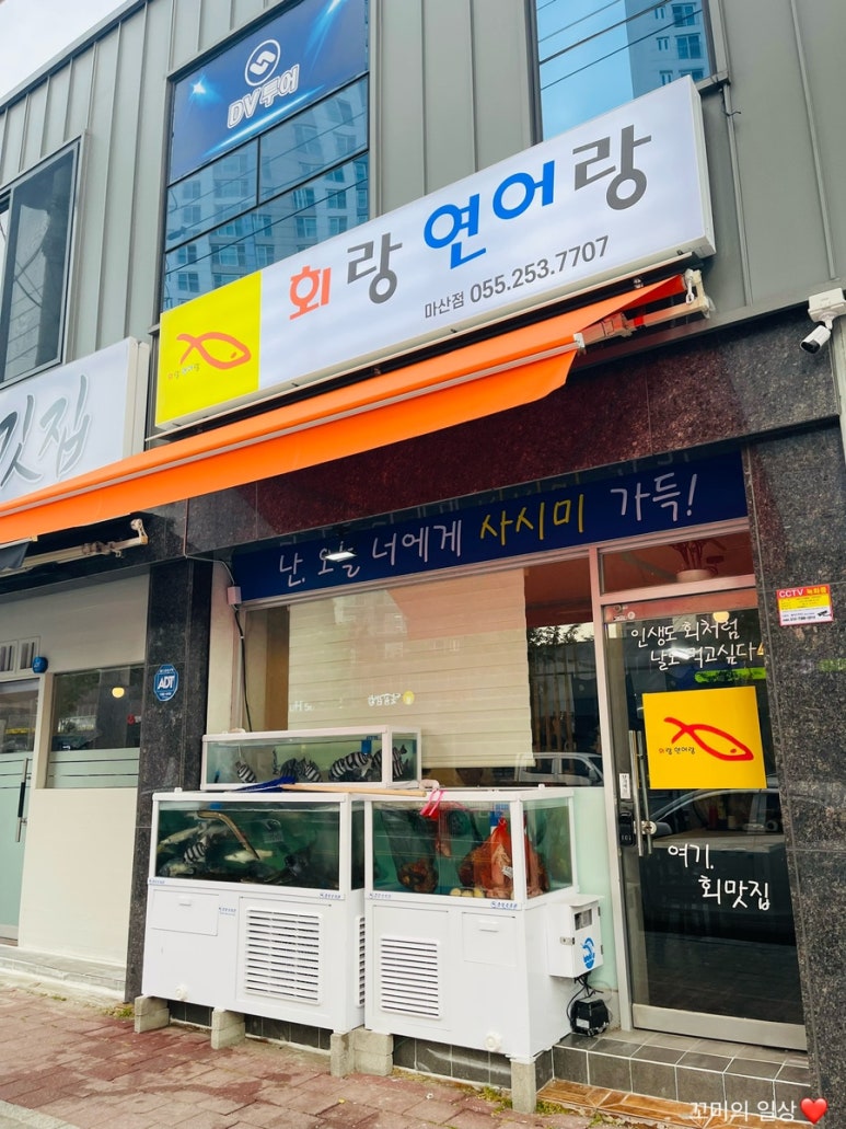 회랑연어랑 이미지