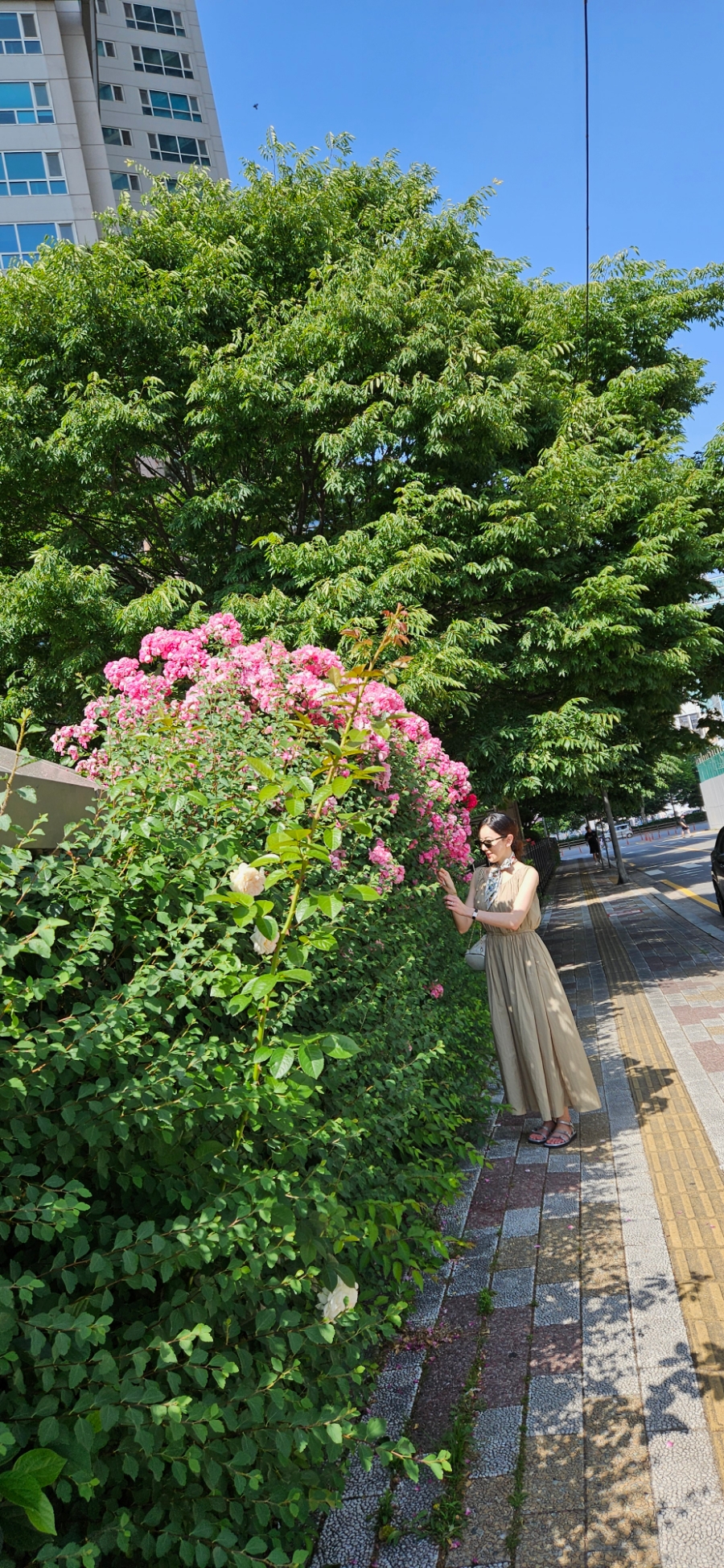 동승주유소 이미지