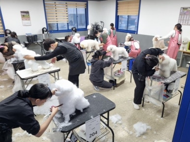 구미펫직업훈련학원 이미지