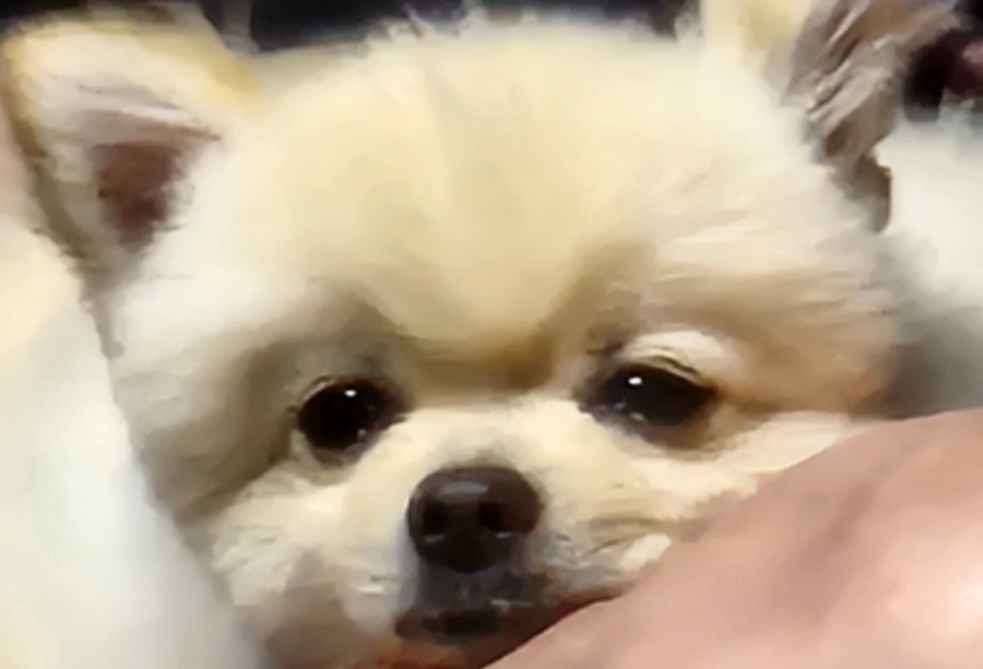 트리플에이커피검단 이미지