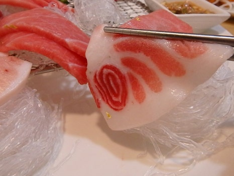 진참치 이미지