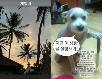 모든광고 이미지