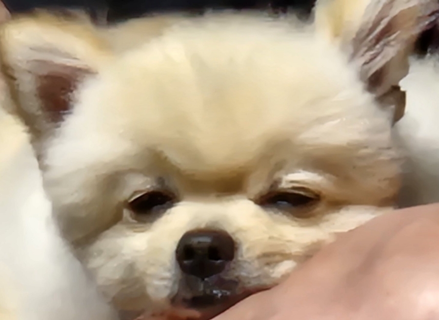 트리플에이커피검단 이미지