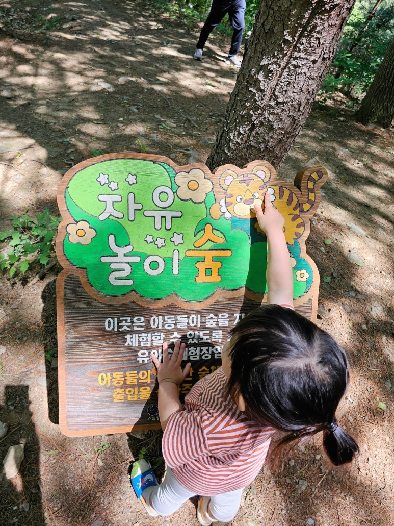 심항산 유아숲체험원 이미지