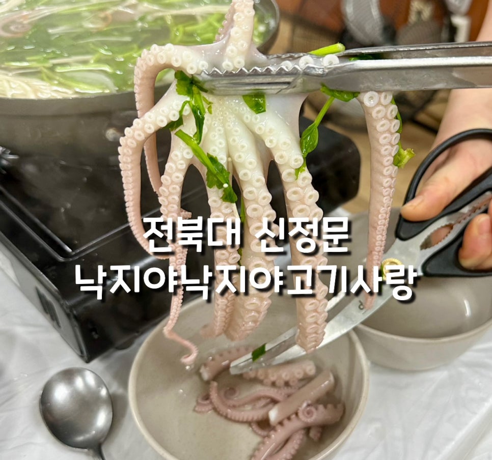 낙지야낙지야 이미지