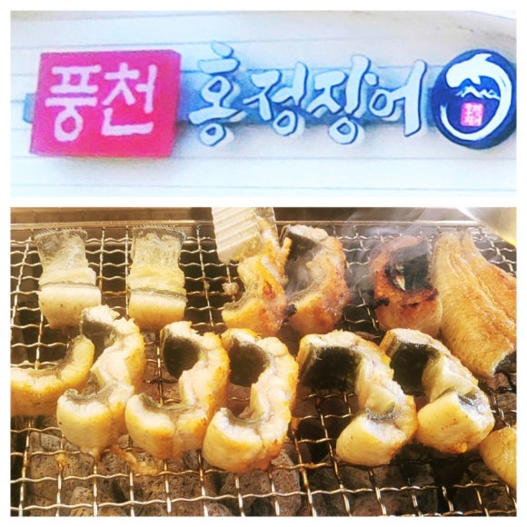 홍정장어 이미지