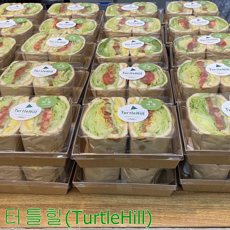 터틀힐 이미지