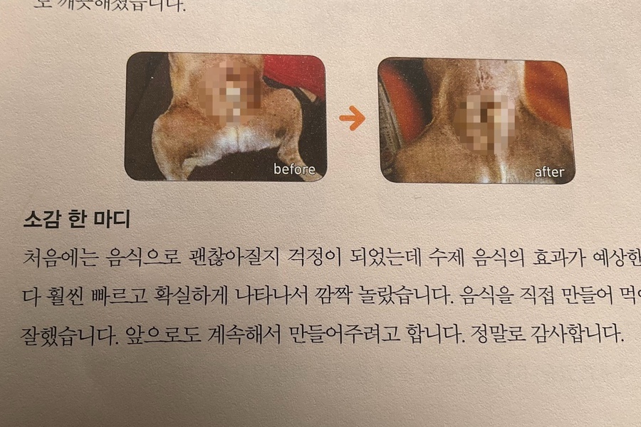 사랑해사랑해호프 이미지
