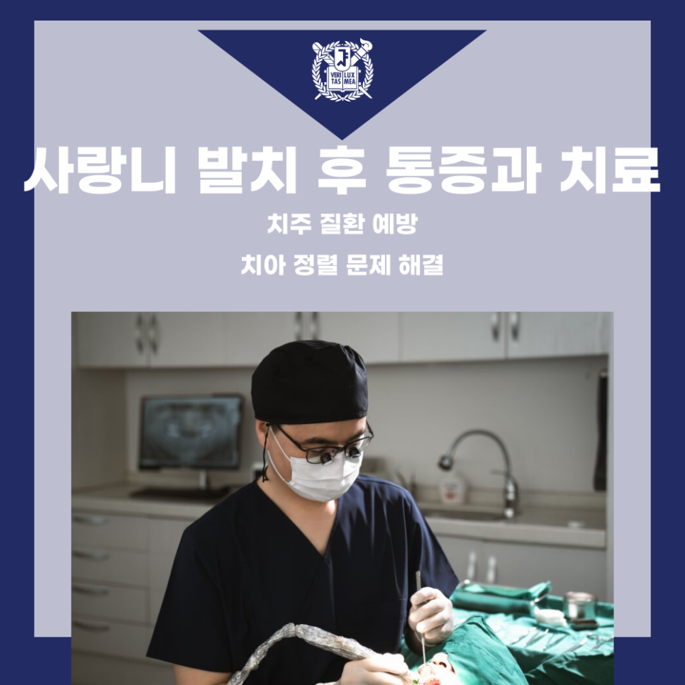 서강플러스치과 이미지