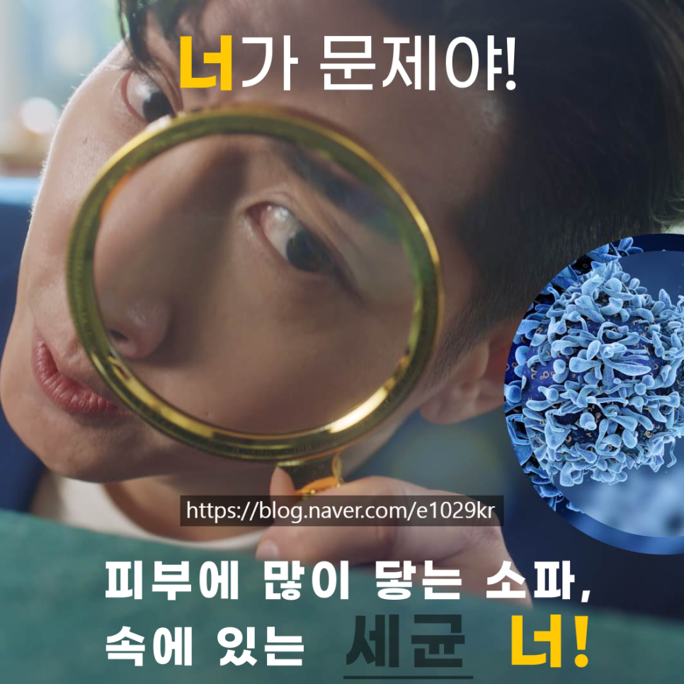 매트리스;소파;카페트새로클린경기광주점 이미지