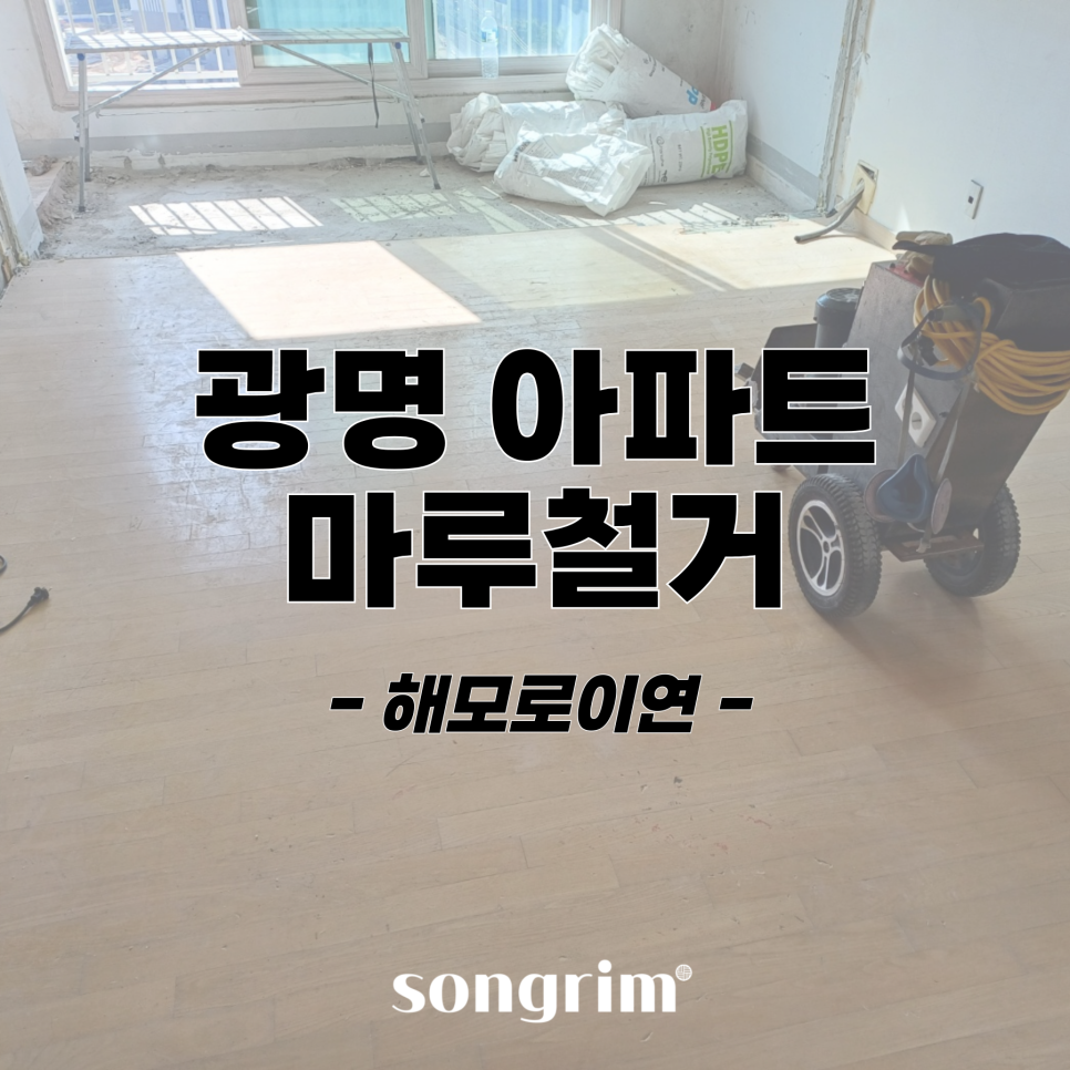 송림경기지사 이미지
