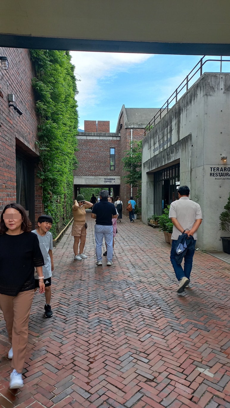 나대관령왔어 이미지
