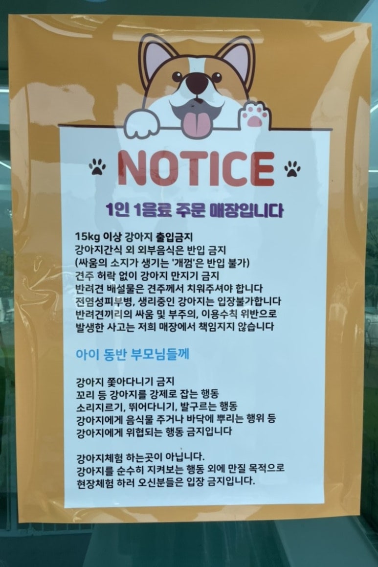 피피비피 이미지