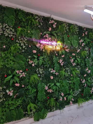 더바디스위치 이미지