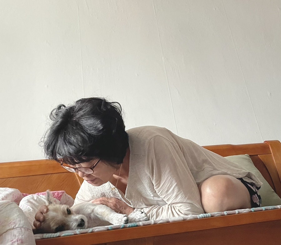 선베리 이미지
