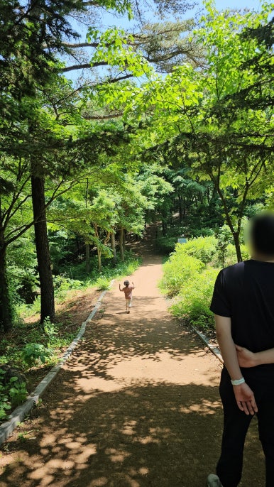 심항산 유아숲체험원 이미지