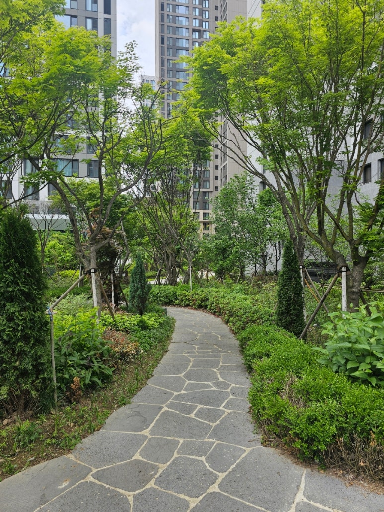 일원초등학교 이미지