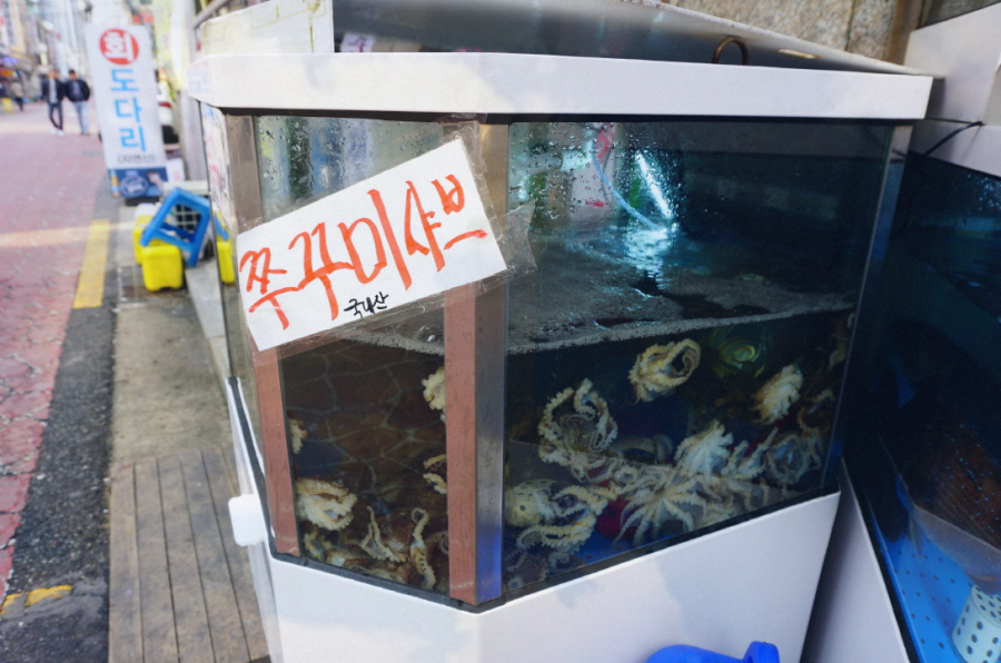 대박세꼬시 이미지