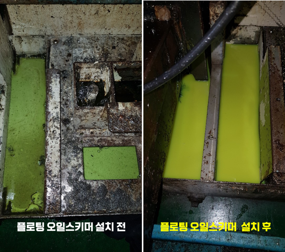 모든오일주 이미지