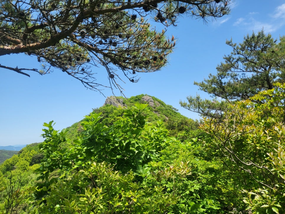 금오산가든 이미지