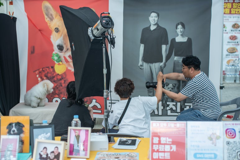 유어펫스토리 이미지