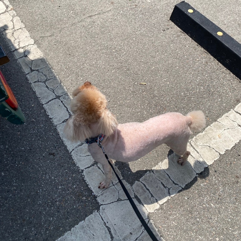 김밥나라원평점 이미지