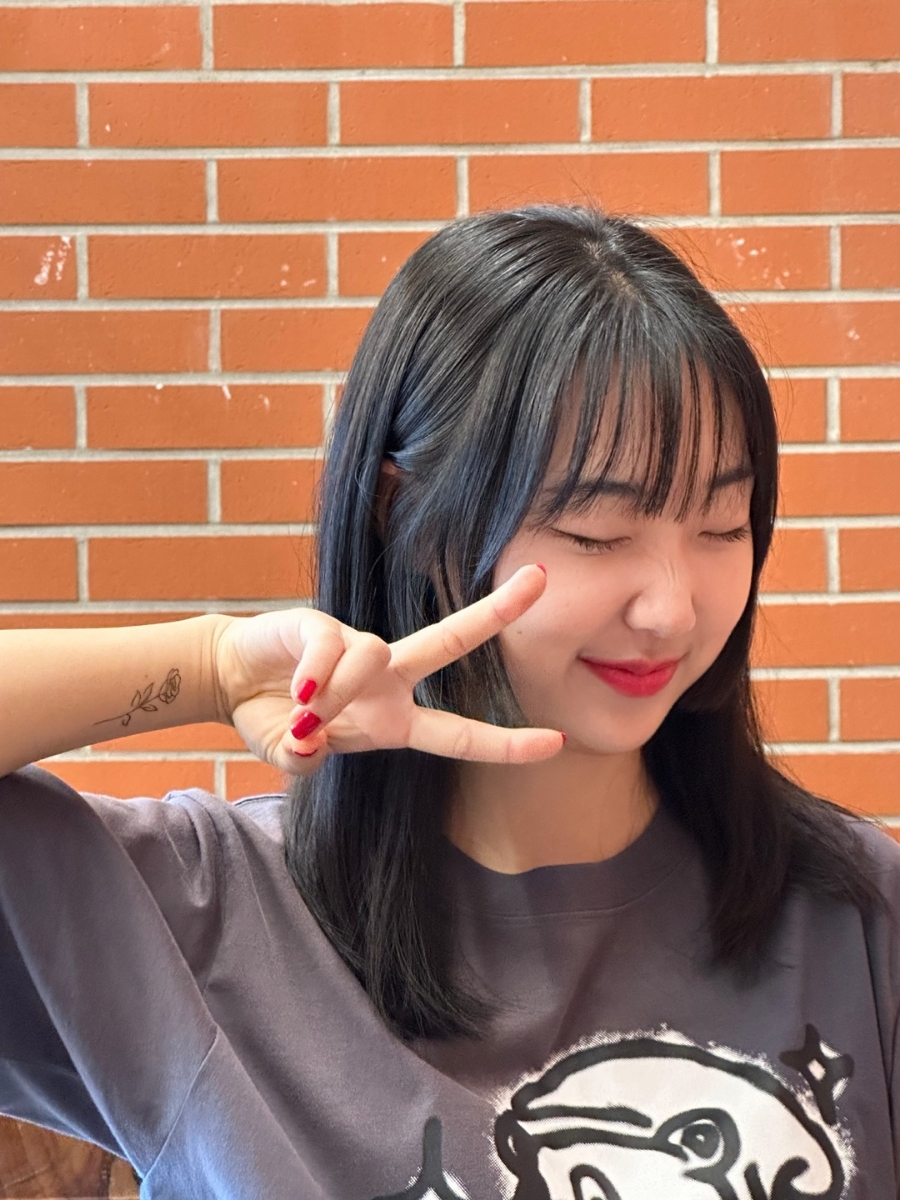 하우헤어 이미지