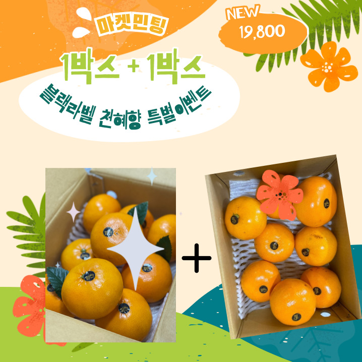 팅스토어 이미지