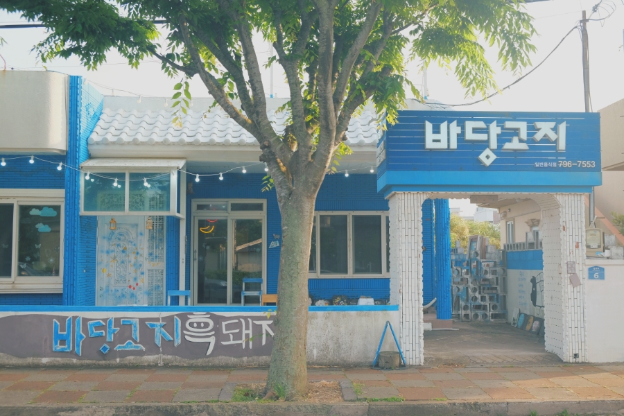 바당고지 이미지