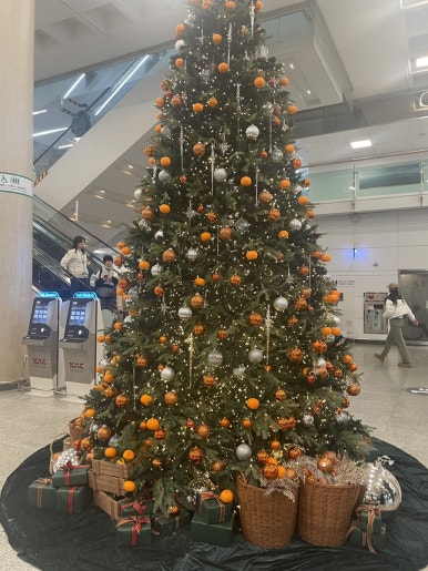 제주고세호해장국 이미지