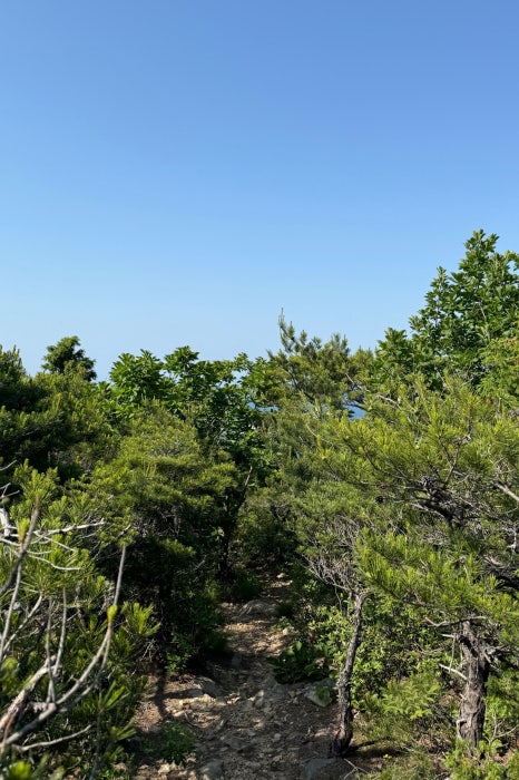 해파랑길 35코스 바우길 09구간 이미지