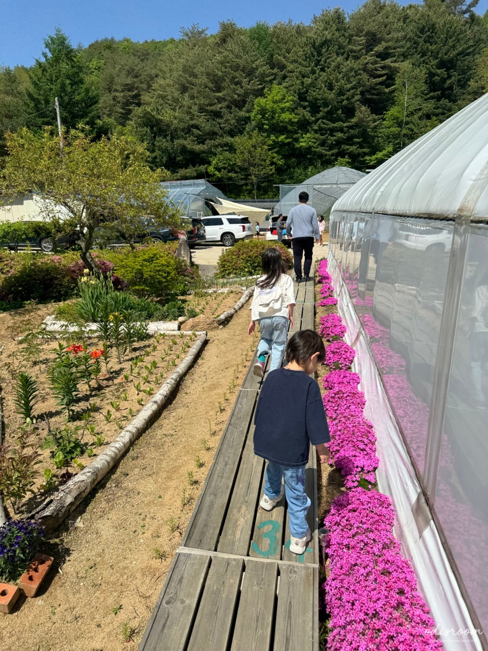 오대산힐링빌리지 이미지