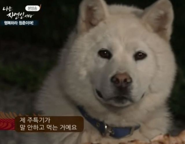 꽃삼이네숯불갈비 이미지
