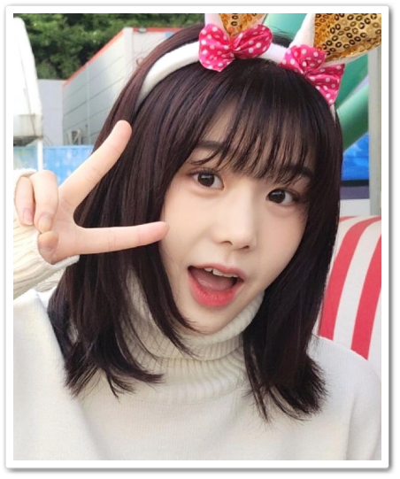 리라컴퍼니 이미지