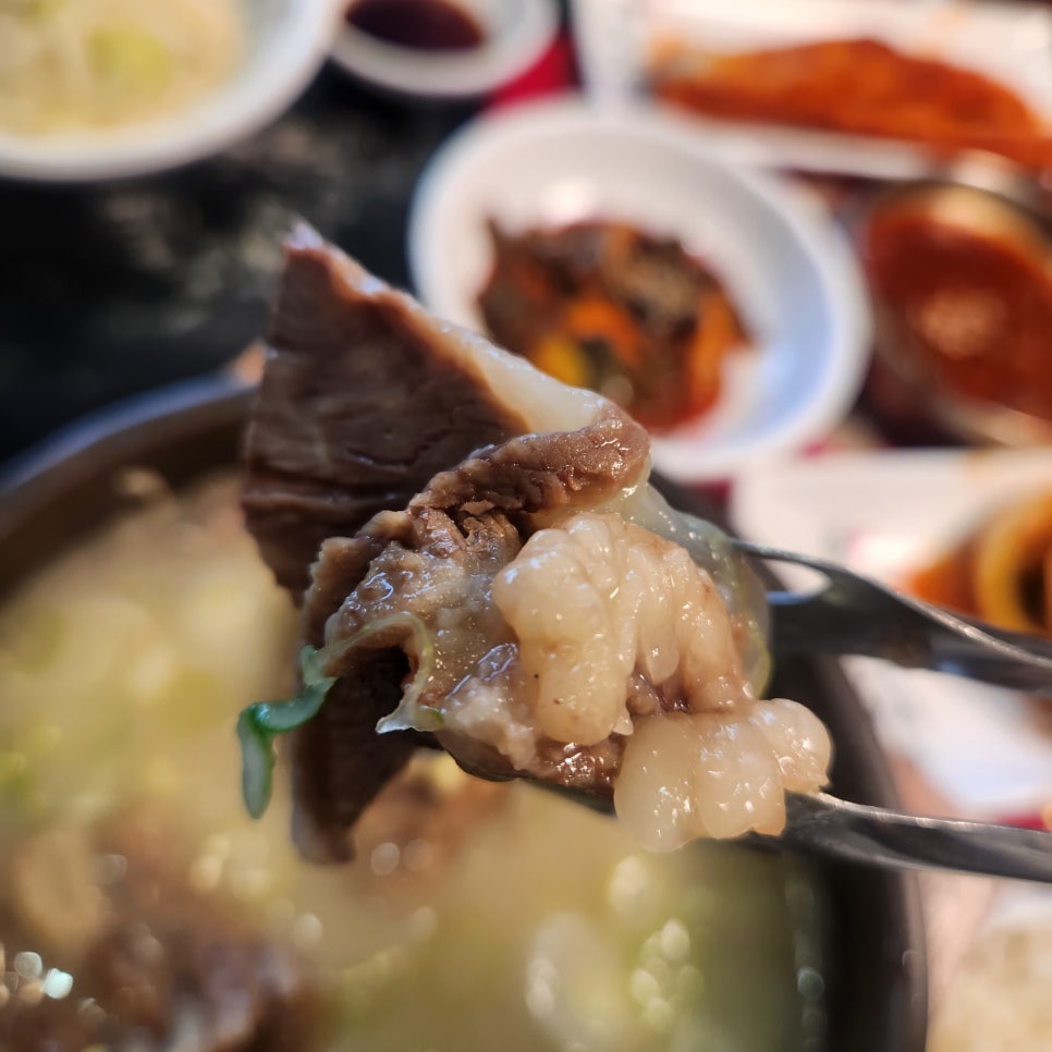정곰탕 이미지