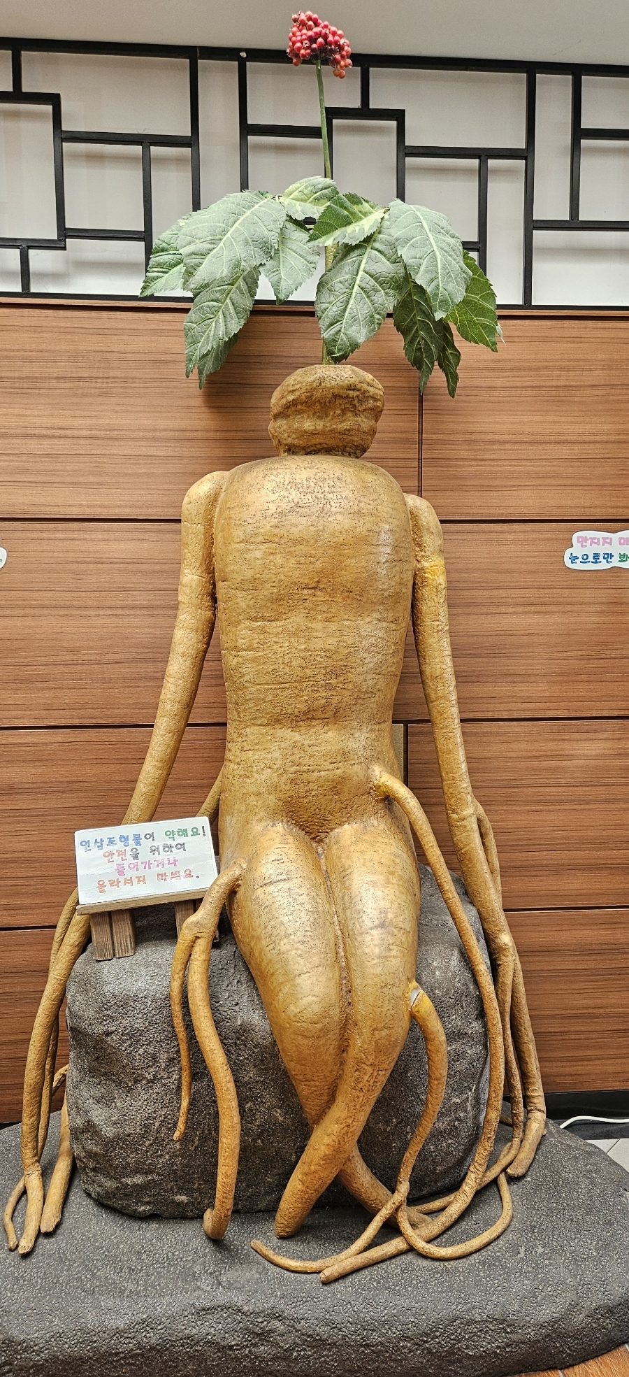 금산홍삼랜드 이미지