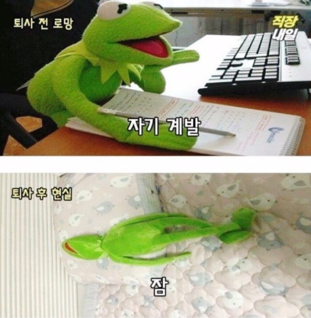 자유로운집 이미지