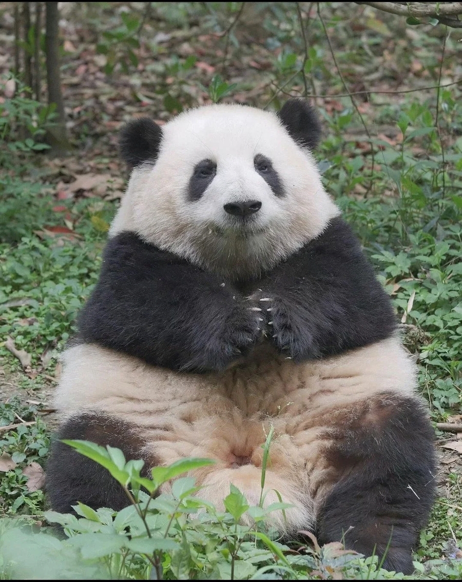 화화 이미지