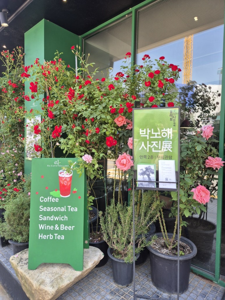 카페 올리브나무 이미지