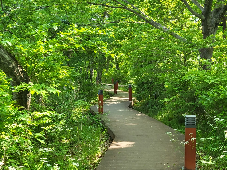 남파랑길 39코스 이미지