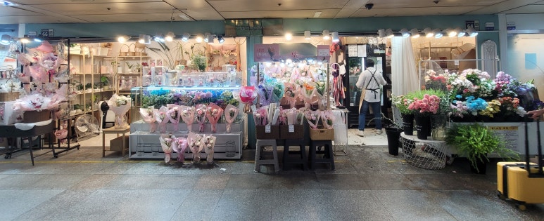 원종인의Flower 이미지