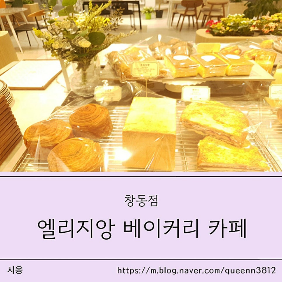 엘리지앙 이미지