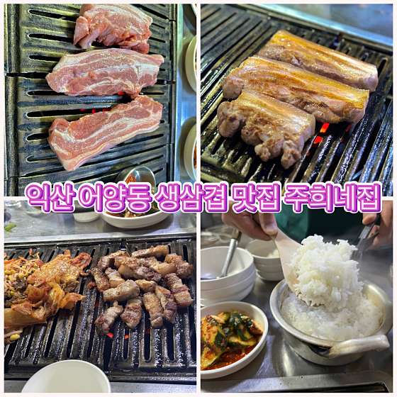 주희네 이미지