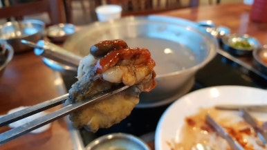 즉석해물손칼국수 이미지